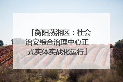 衡阳蒸湘区：社会治安综合治理中心正式实体实战化运行