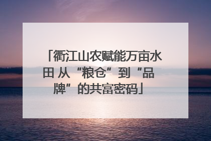 衢江山农赋能万亩水田 从“粮仓”到“品牌”的共富密码