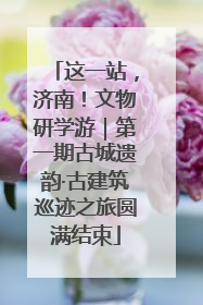 这一站，济南！文物研学游｜第一期古城遗韵·古建筑巡迹之旅圆满结束