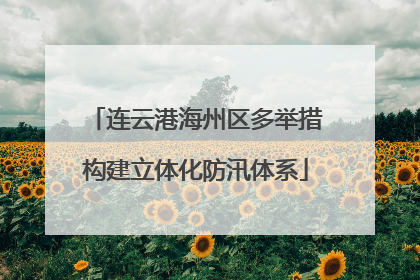 连云港海州区多举措构建立体化防汛体系