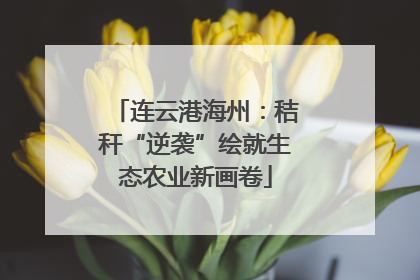 连云港海州：秸秆“逆袭”绘就生态农业新画卷