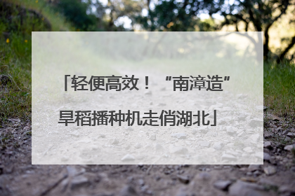 轻便高效！“南漳造”旱稻播种机走俏湖北