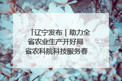 辽宁发布｜助力全省农业生产开好局 省农科院科技服务春耕备耕成效显著