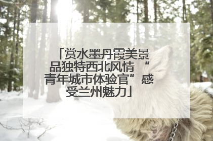 赏水墨丹霞美景 品独特西北风情 “青年城市体验官”感受兰州魅力