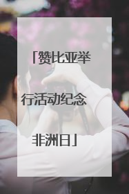 赞比亚举行活动纪念非洲日