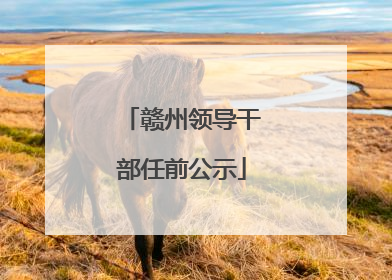 赣州领导干部任前公示