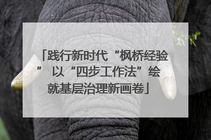 践行新时代“枫桥经验” 以“四步工作法”绘就基层治理新画卷