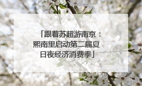 跟着苏超游南京：熙南里启动第二届夏日夜经济消费季