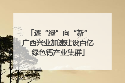 逐“绿”向“新” 广西兴业加速建设百亿绿色钙产业集群