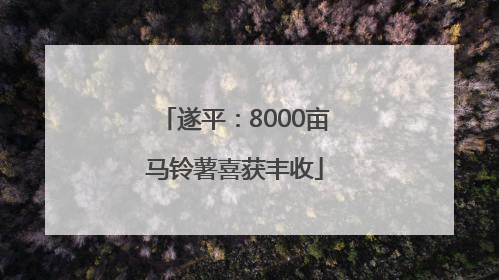 遂平：8000亩马铃薯喜获丰收