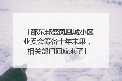 邵东邦盛凤凰城小区业委会筹备十年未果，相关部门回应来了