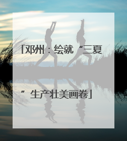 邓州：绘就“三夏”生产壮美画卷