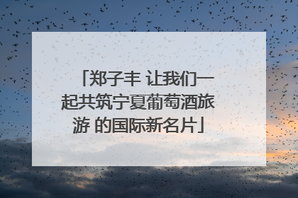 郑子丰 让我们一起共筑宁夏葡萄酒旅游 的国际新名片
