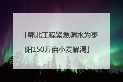 鄂北工程紧急调水为枣阳150万亩小麦解渴