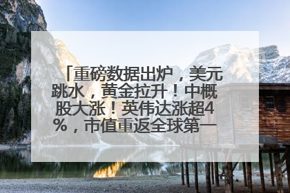 重磅数据出炉，美元跳水，黄金拉升！中概股大涨！英伟达涨超4%，市值重返全球第一！黄仁勋计划出售至多600万股股票