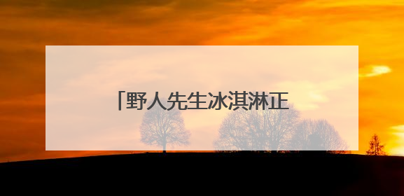 野人先生冰淇淋正在收割商场B1
