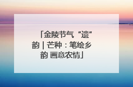 金陵节气“遗”韵｜芒种：笔绘乡韵 画意农情