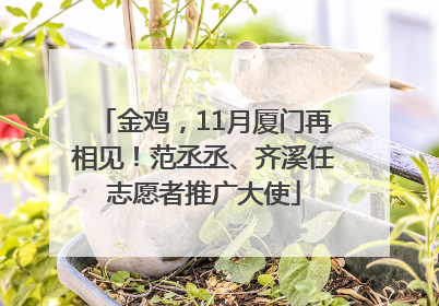 金鸡，11月厦门再相见！范丞丞、齐溪任志愿者推广大使
