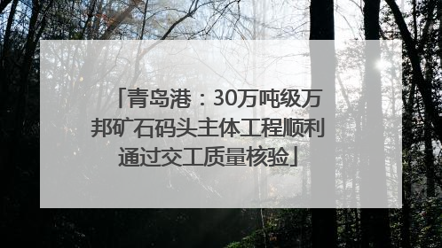青岛港：30万吨级万邦矿石码头主体工程顺利通过交工质量核验