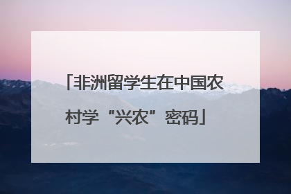 非洲留学生在中国农村学“兴农”密码