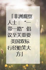 非洲观察人士：“一带一路”倡议至关重要 美国双标行径贻笑大方