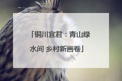 铜川宜君：青山绿水间 乡村新画卷
