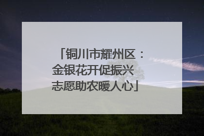 铜川市耀州区：金银花开促振兴 志愿助农暖人心