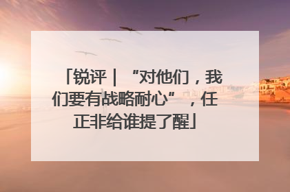 锐评｜“对他们，我们要有战略耐心”，任正非给谁提了醒