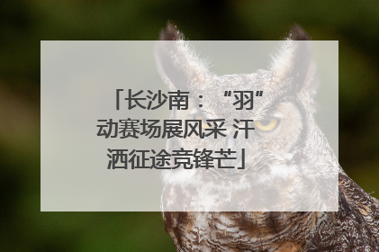 长沙南：“羽”动赛场展风采 汗洒征途竞锋芒