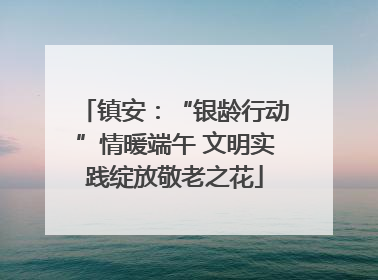 镇安：“银龄行动”情暖端午 文明实践绽放敬老之花