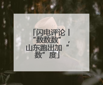 闪电评论丨“数数数”，山东跑出加“数”度