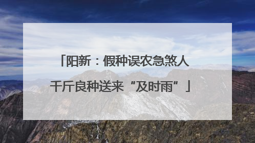 阳新：假种误农急煞人 千斤良种送来“及时雨”