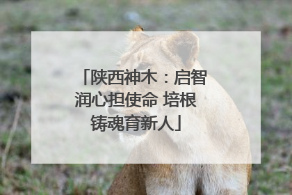 陕西神木：启智润心担使命 培根铸魂育新人