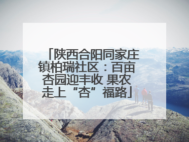 陕西合阳同家庄镇柏瑞社区：百亩杏园迎丰收 果农走上“杏”福路