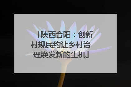 陕西合阳：创新村规民约让乡村治理焕发新的生机