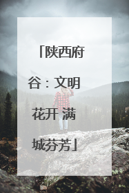 陕西府谷：文明花开 满城芬芳