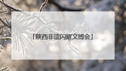 陕西非遗闪耀文博会