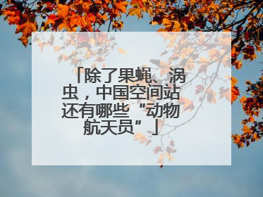 除了果蝇、涡虫，中国空间站还有哪些“动物航天员”