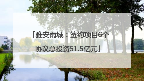 雅安雨城：签约项目6个 协议总投资51.5亿元