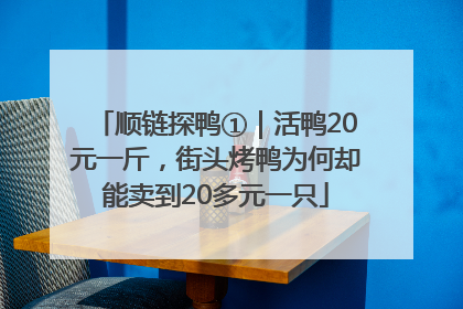 顺链探鸭①｜活鸭20元一斤，街头烤鸭为何却能卖到20多元一只