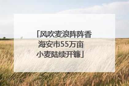 风吹麦浪阵阵香 海安市55万亩小麦陆续开镰