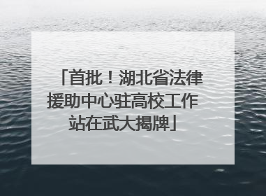 首批！湖北省法律援助中心驻高校工作站在武大揭牌