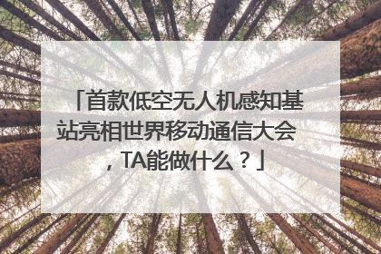 首款低空无人机感知基站亮相世界移动通信大会，TA能做什么？
