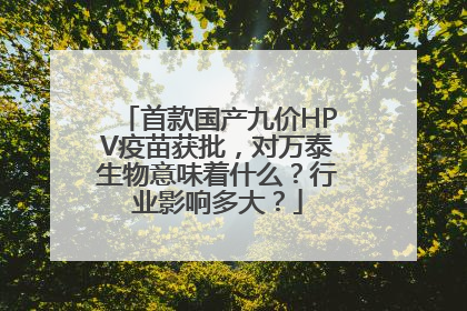 首款国产九价HPV疫苗获批，对万泰生物意味着什么？行业影响多大？