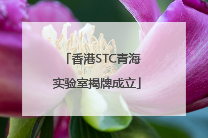 香港STC青海实验室揭牌成立