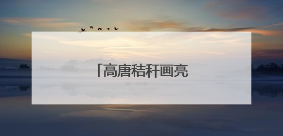 高唐秸秆画亮相中国美术馆