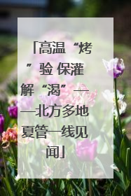 高温“烤”验 保灌解“渴”——北方多地夏管一线见闻
