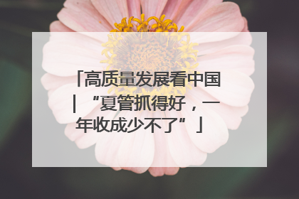高质量发展看中国｜“夏管抓得好，一年收成少不了”