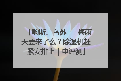 齁斯、乌苏……梅雨天要来了么？除湿机赶紧安排上｜申评测