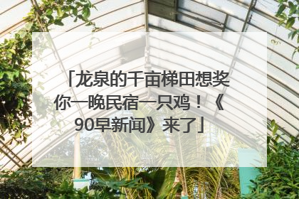 龙泉的千亩梯田想奖你一晚民宿一只鸡！《90早新闻》来了
